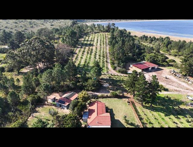 FARM FOR SALE IN RONDEVLEI